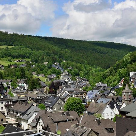 Beautiful Apartment In Willingen With Balcony Bagian luar foto